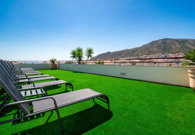 Apartment in Albir - Albir Confort Avenida - 3 bedrooms (6202)